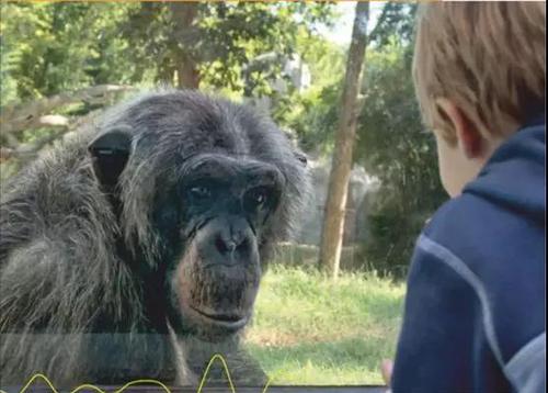 读心仪不再是科学幻想 读心仪不再是科学幻想