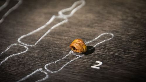 丹尼索瓦人手指骨近端部分(中间部分)的复制品 丹尼索瓦人手指骨近端部分(中间部分)的复制品