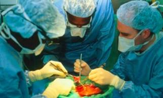 SCIENCEPHOTOLIBARY-M5750038-Preparation_of_donor_liver_for_transplant_surgery-SPL[1]